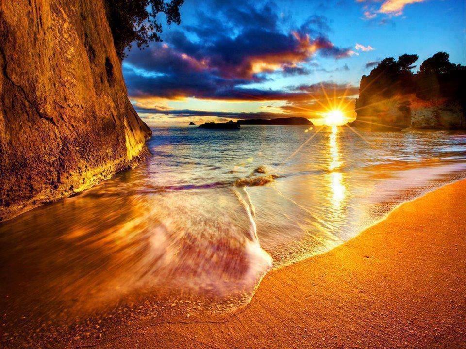 Cathedral Cove And Sunrise Apartment Hahei Bagian luar foto